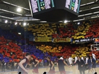 Image associated to news article on:  VIP Palau. Enjoy basketball from an unbeatable position!  