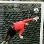 Alves, fent de porter en un entrenament. Foto: Arxiu FCB