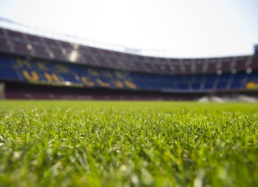 El csped del Camp Nou que se va a trasladar al Mini. Foto: lex Caparrs-FCB