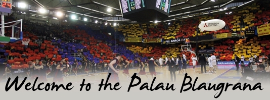 Image associated to news article on:VIP Palau. Enjoy basketball from an unbeatable position!  