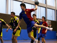 Image associated to news article on:  Youth handball shows sound future  