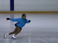 El patinatge i lhoquei gel, denhorabona